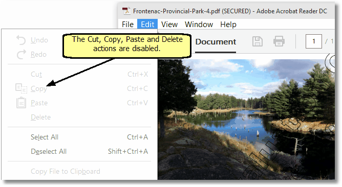 Creating_Readonly_PDF_3