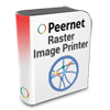 Raster Image Printer