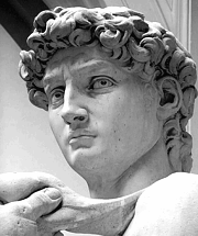 Michelangelos_David_-_63_grijswaarden
