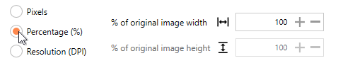 ResizeImagesResamplingPercentage-PDF