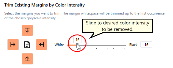 TrimExistingMarginsColorIntensity-PDF