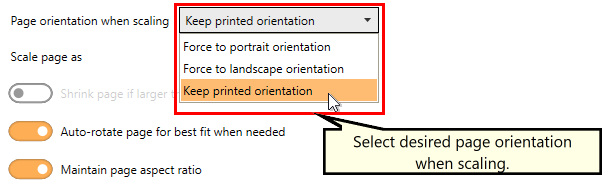 CopyPageContentsPageOrientation-RAS