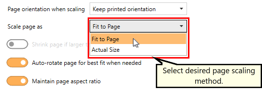 CopyPageContentsScalePage-RAS