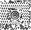 barcode_maxicode