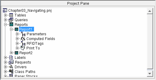 project_pane_report_details