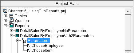 project_pane_sub_report_multiple_parameters