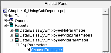 project_pane_sub_report_single_parameter