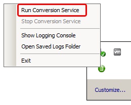 DCS-RunConversionService