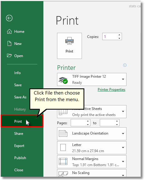 File-Print-Excel-Spreadsheet
