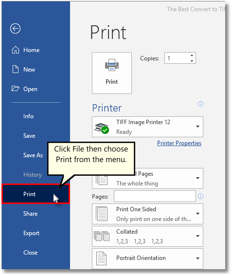 File-Print-Word-Document