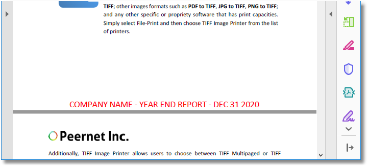 Preview-PDF-Footer-Text-PDF