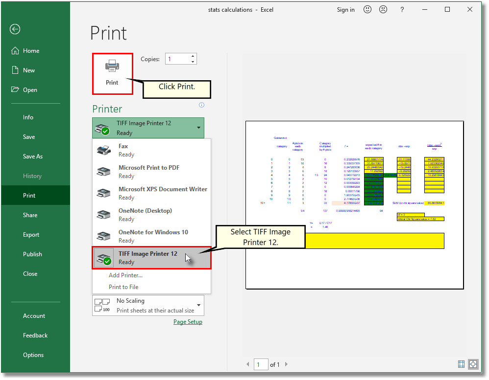 Print-Excel-Spreadsheet
