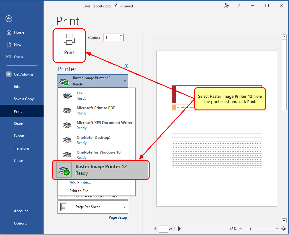 On the print screen select Raster Image Printer, then click print to convert word to jpg