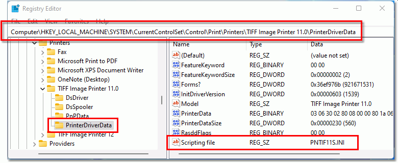 The Scripting file registry key tells the printer the name of the script file in the temp folder, or a full path to a script file in a different location.