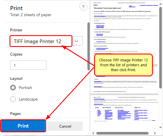 Select Image Printer
